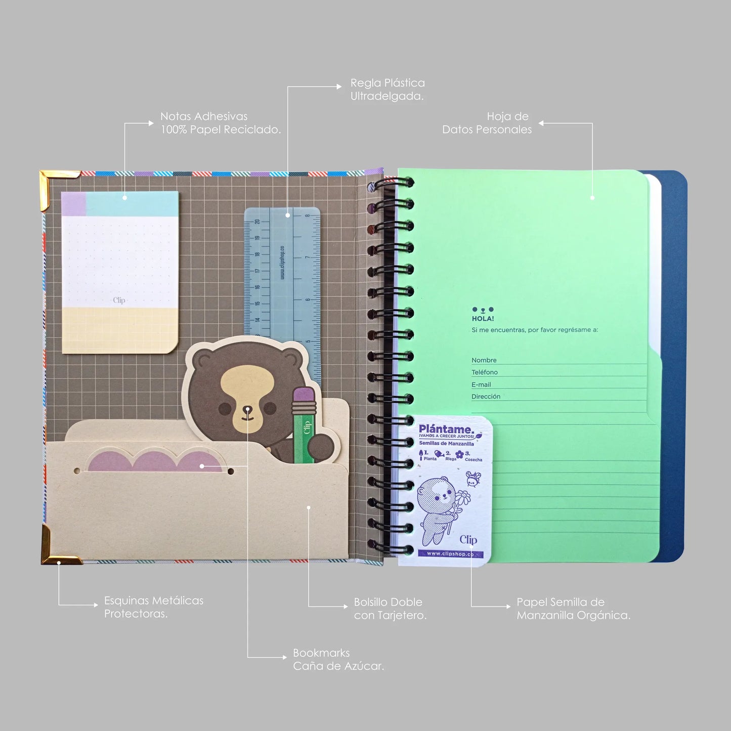 Boho Leaves - Cuaderno 7m Anillo Oculto