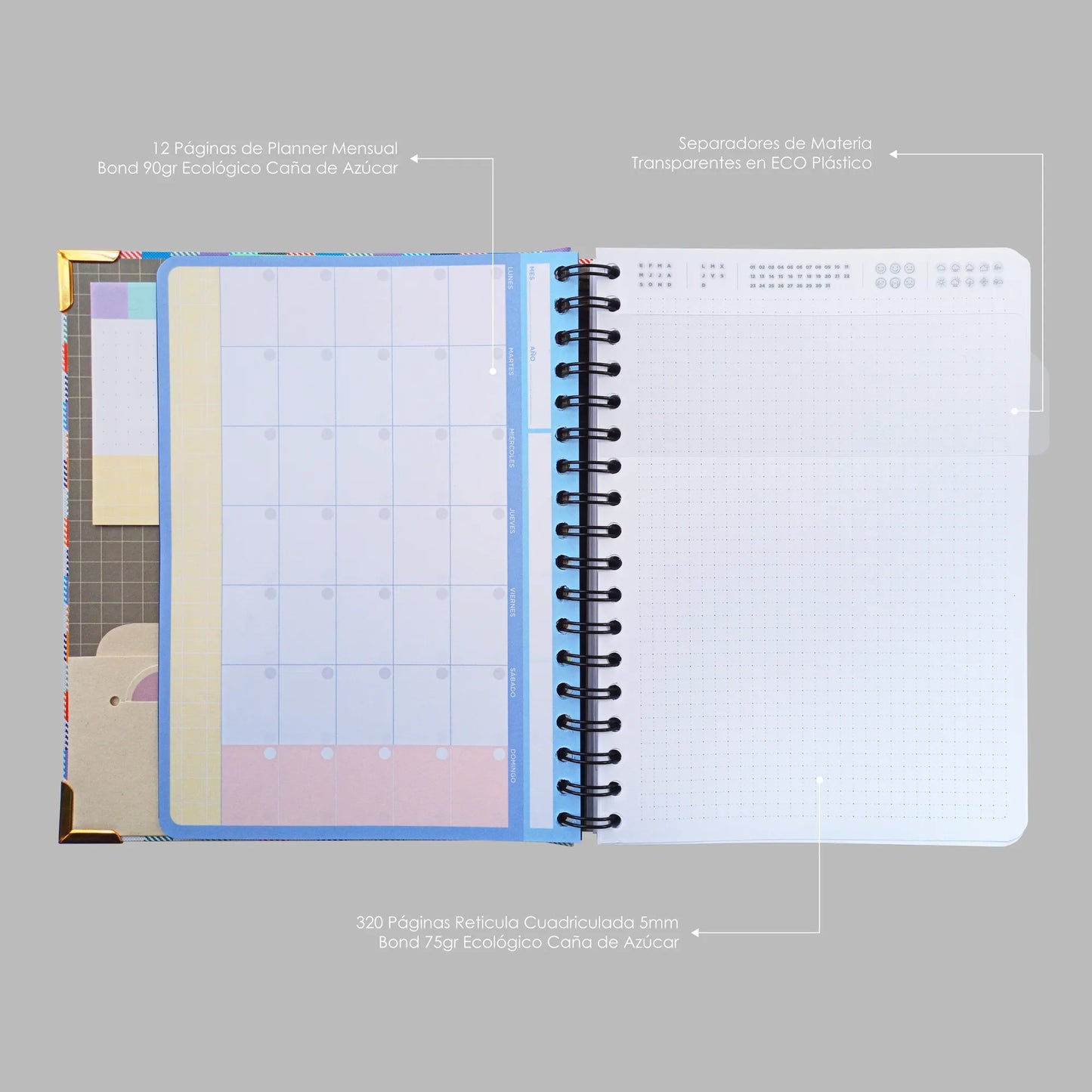 Boho Leaves - Cuaderno 7m Anillo Oculto