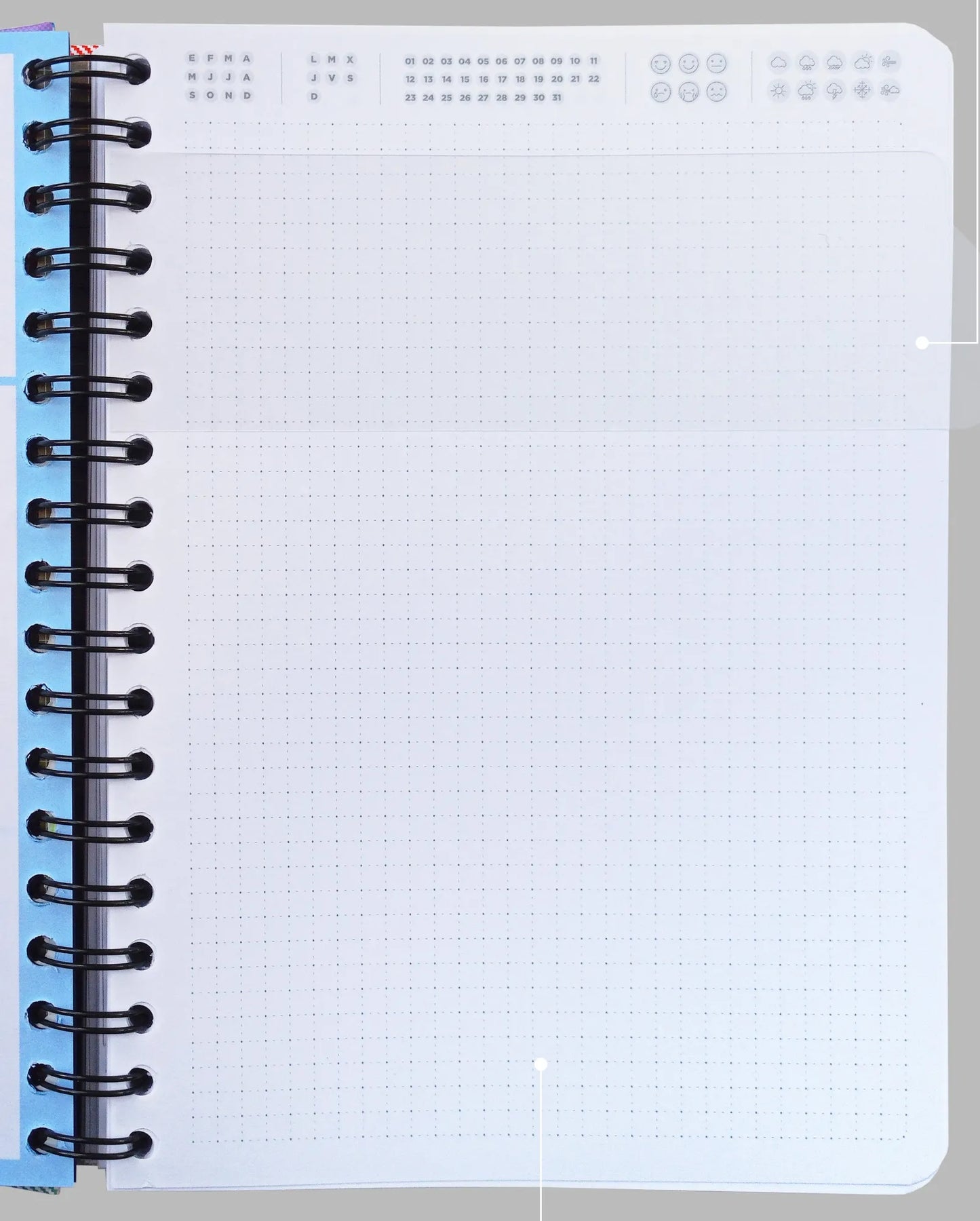 Boho Leaves - Cuaderno 7m Anillo Oculto